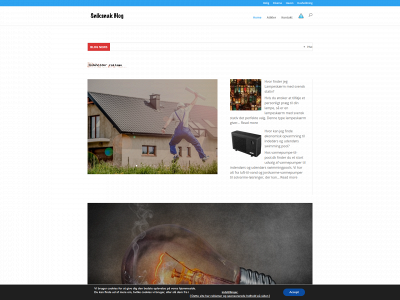 sniksnak-blog.dk snapshot