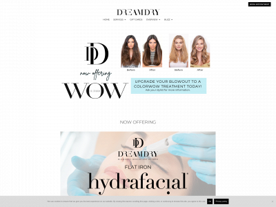 www.dreamdry.com snapshot