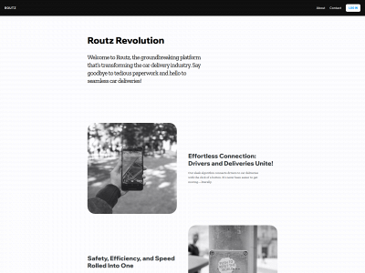 routz.icu snapshot