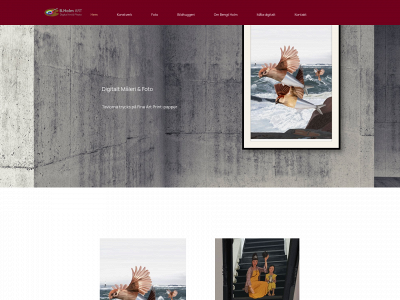 bengtholmart.com snapshot