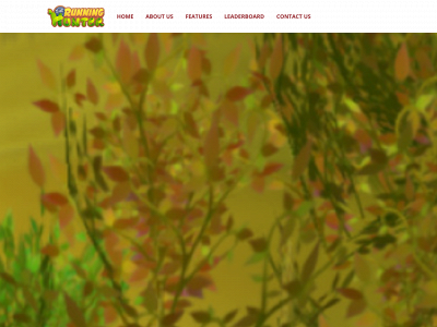 runninghunters.com snapshot