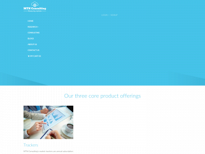 mtnconsulting.biz snapshot