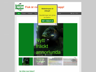 bottomsneaker.com snapshot