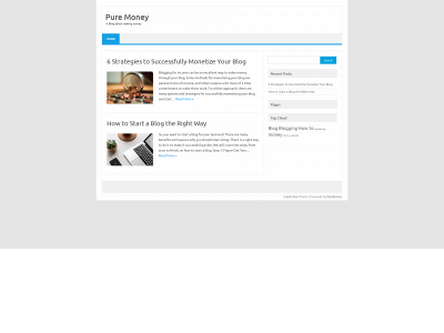 puremoneyblog.com snapshot