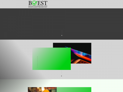 bovest.no snapshot