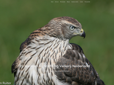 stichtingvalkerijnederland.nl snapshot
