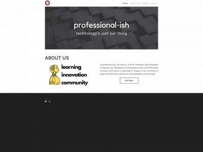 www.professionalish.org snapshot