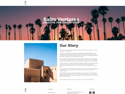 salto.ventures snapshot