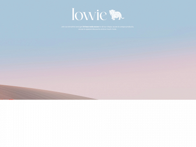 lowieclothing.com snapshot