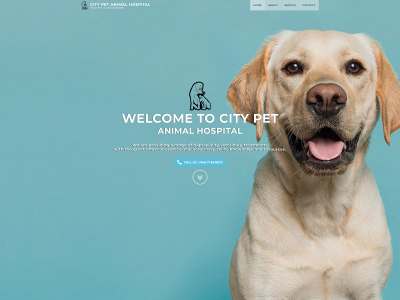 citypet.lk snapshot