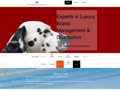 thedevoygroup.com snapshot