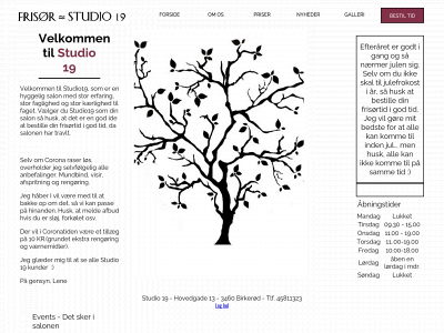 studio19.dk snapshot