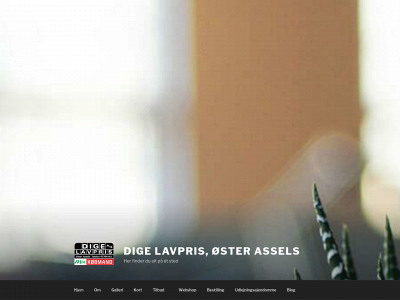 digelavpris.dk snapshot