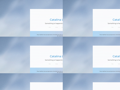 catalinalewin.com snapshot