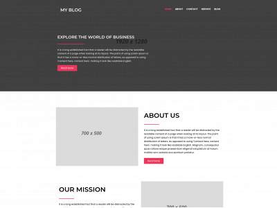 chiefport.com snapshot