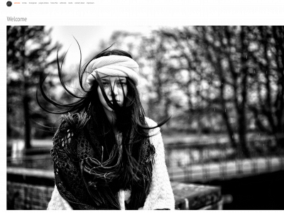 asjapfirrmann.com snapshot