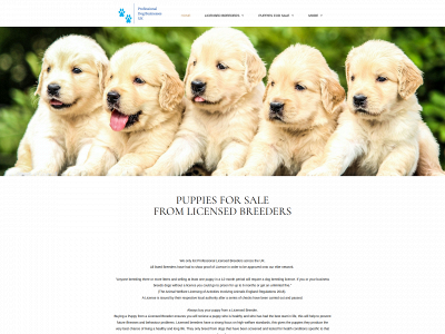 pdbukpuppiesforsale.co.uk snapshot