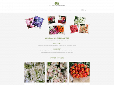 auctiondirectflowers.com snapshot