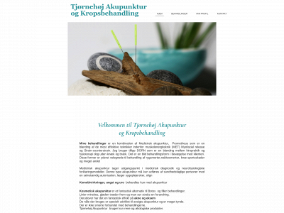 tjoernehoejakupunktur.dk snapshot