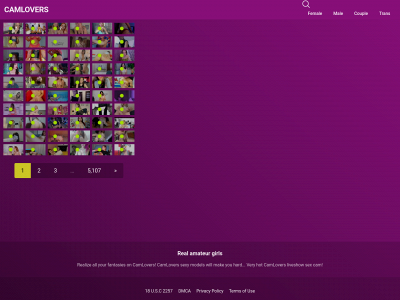camlovers.online snapshot
