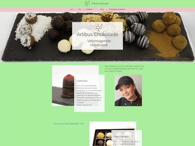 artibuschokolade.dk snapshot