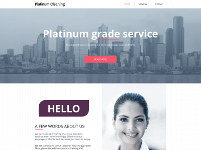 platinumco.co.uk snapshot