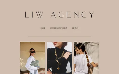 liwagency.se snapshot