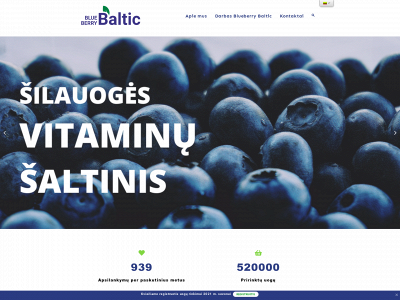 blueberrybaltic.lt snapshot