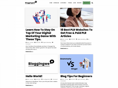 bloggingwe.com snapshot