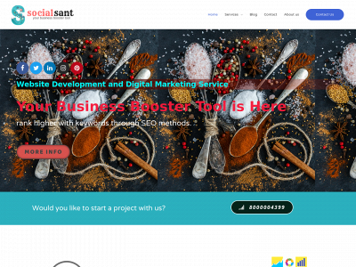 socialsant.com snapshot