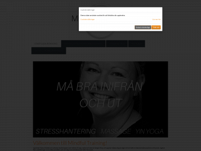 mindfultraining.se snapshot
