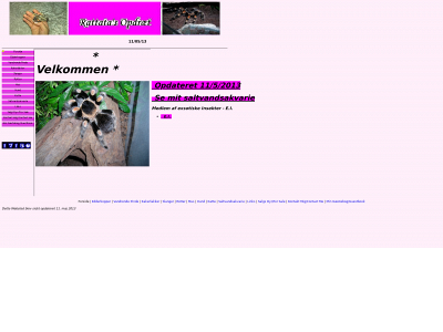 rattata.dk snapshot