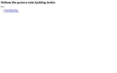 spalding-jenkin.com snapshot