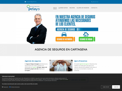 segurospelayocartagena.es snapshot