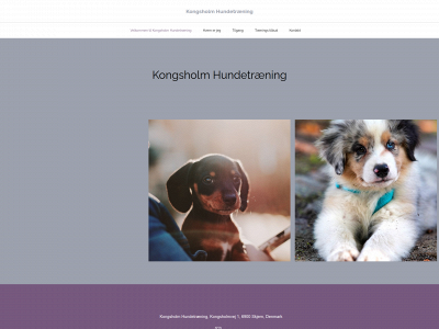 kongsholmhundetræning.dk snapshot