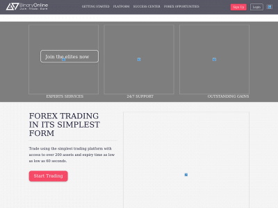 binaryonline.com snapshot