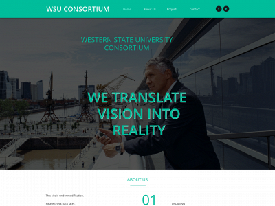 wsu.international snapshot