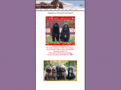 amazingselmas.se snapshot