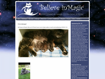 believeinmagic.se snapshot