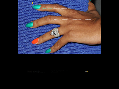 nailpolishproduction.com snapshot