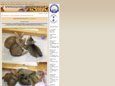 hindkjaers-ocicat.dk snapshot