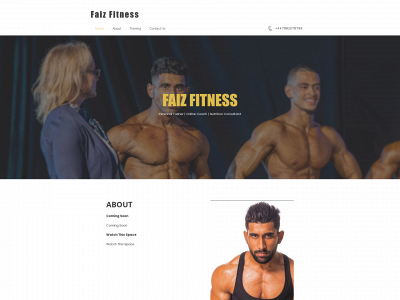 faizfit.com snapshot