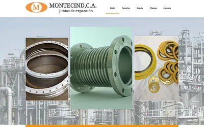 montecind.com snapshot