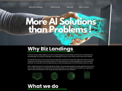 bizlandings.com snapshot