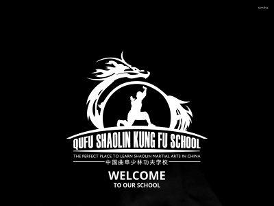 shaolinskungfuschool.com snapshot