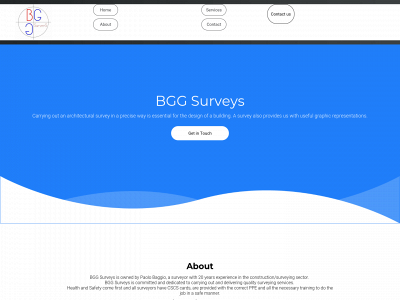 bggsurveys.xyz snapshot