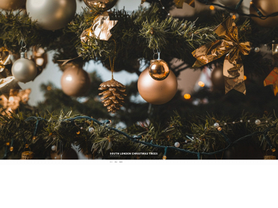 london-christmas-trees.co.uk snapshot