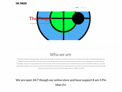 thepinger1.weebly.com snapshot