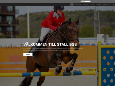 stallbgs.se snapshot