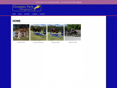 jamieraymontshowjumpers.com snapshot